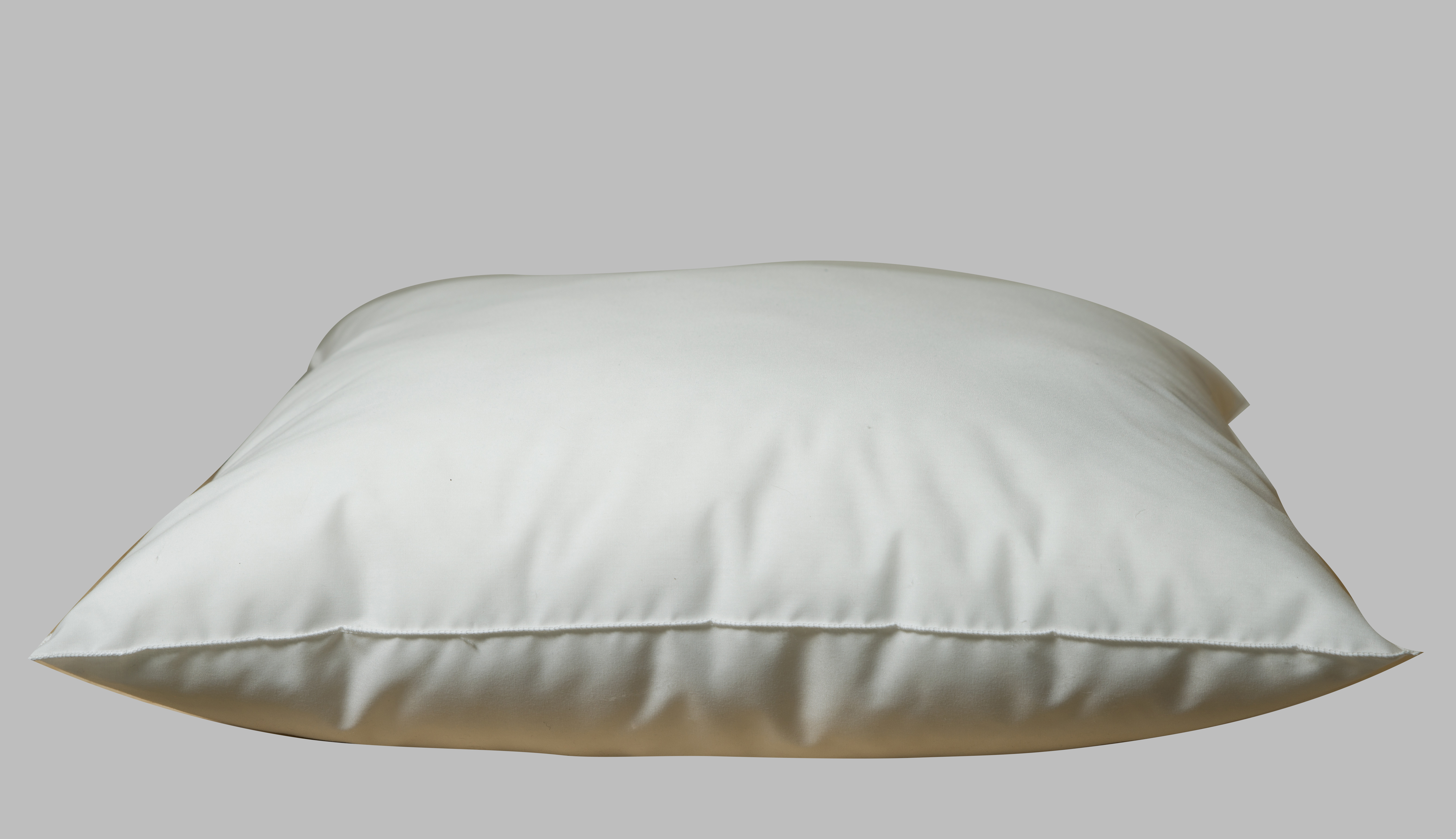 Faux Down Pillow Insert, 14 x 14 Inch Pillow Form, Down Pillows, Throw  Pillows, Soft Cushions
